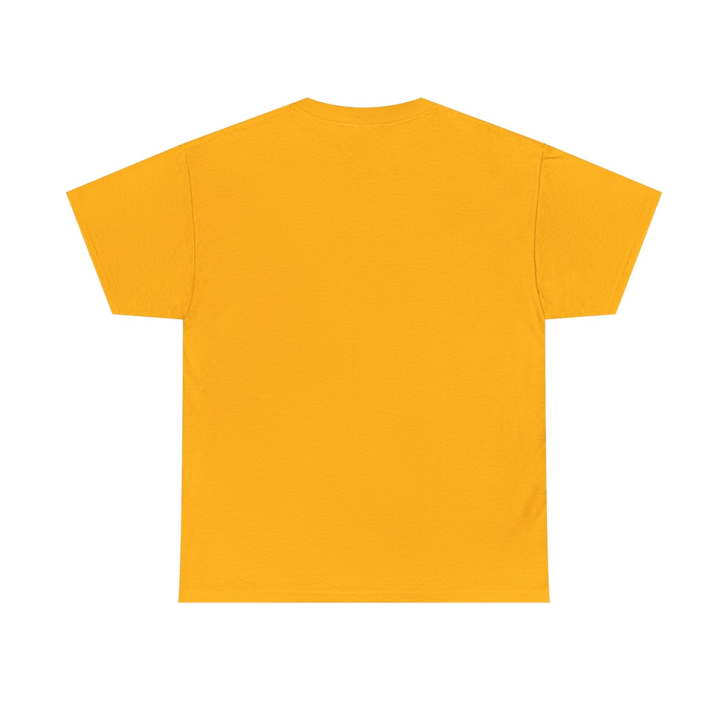 Faith Over Fear T Shirt