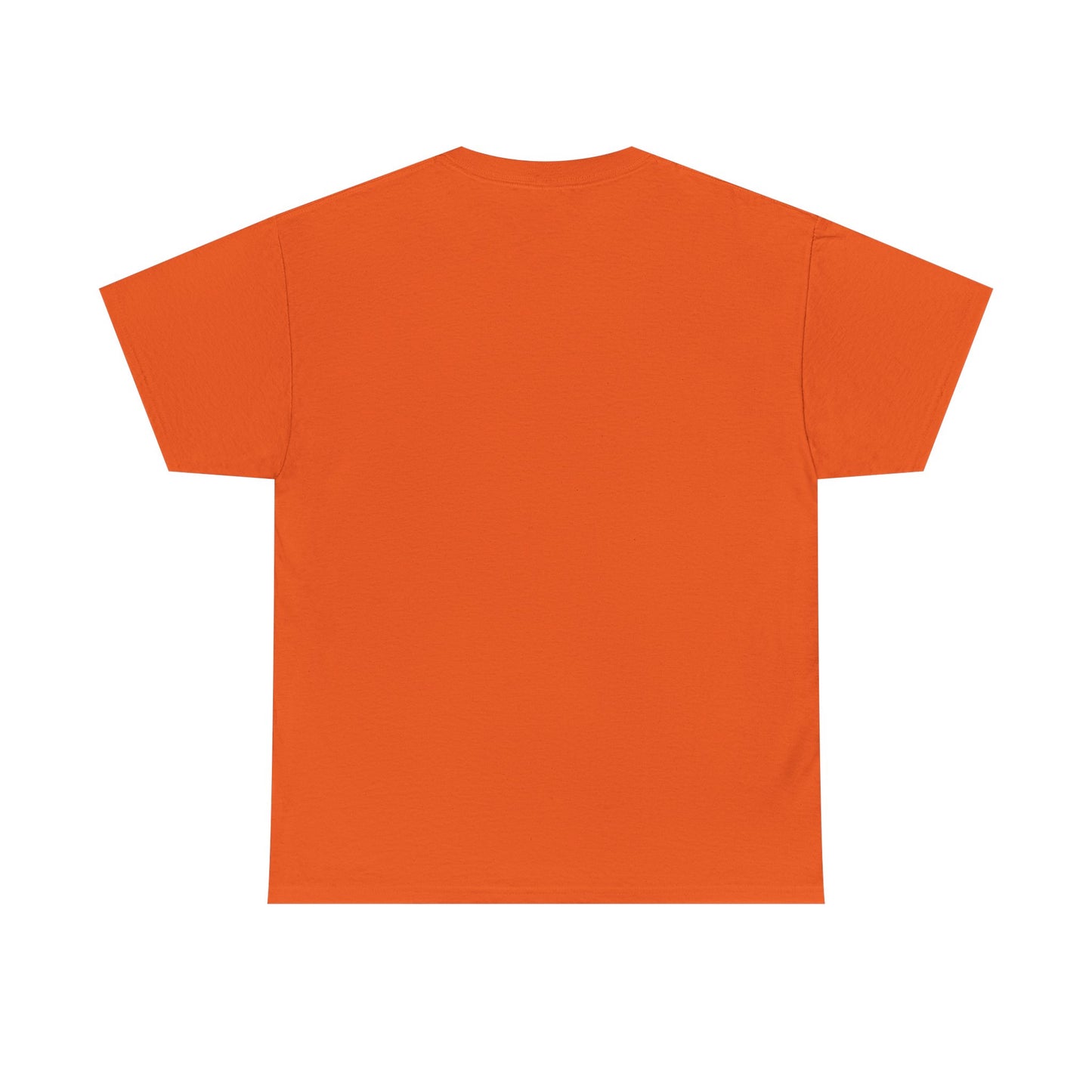 Faith Over Fear T Shirt